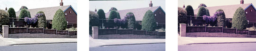 costco house and shrubs